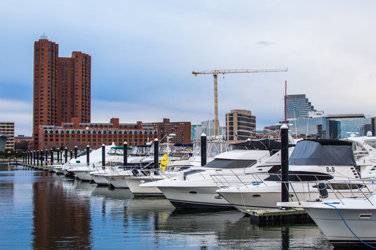 Waterfront Of Federal Hill Baltimore, Maryland During Winter