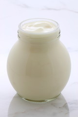 plain french style yogurt