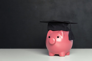 College graduate student diploma piggy bank