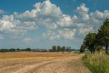 picturesque summer rural landscape. the agricultural field with straw under the beautiful cloudy sky