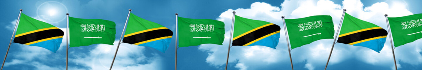 Tanzanian flag with Saudi Arabia flag, 3D rendering