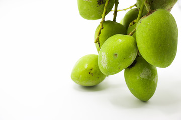 Mangoes are on white background.