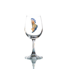 betta fish inside Empty wine glass isolated with reflect on whit