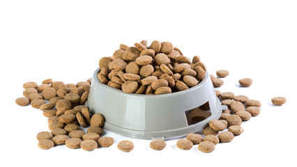 dry dog food isolated on white background