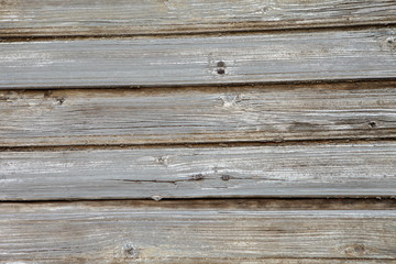 Fototapeta premium текстура дерева