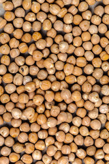Macro shot of soybeans isolate on a background