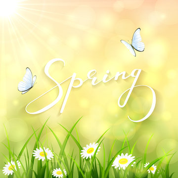 Sunny spring background