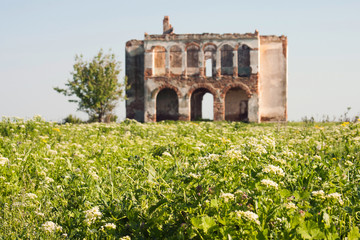Fototapeta premium Ruined house in the field 