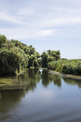 Fototapeta na wymiar Danube Delta landscape - Romania
