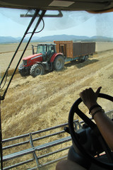 working in the field © Curto