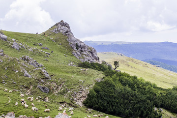 Landscape from Bucegi Mountains, part of Southern Carpathians in Romania