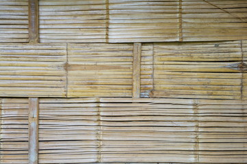 Bamboo texture