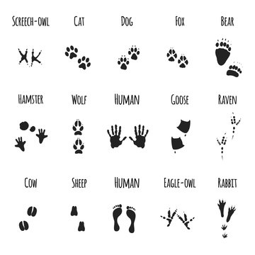 animal paws black prints - vector icons set