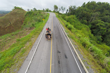 Aerial view of crooked path of road on the mountain, Shot from drone.