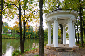 Naklejka premium Arbor at the river