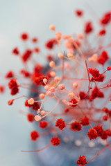 Tender red and pink flowers in blue crystal vase, top view, close up, romantic, table setting, decoration, wedding, mother's day, valentine, greeting card template