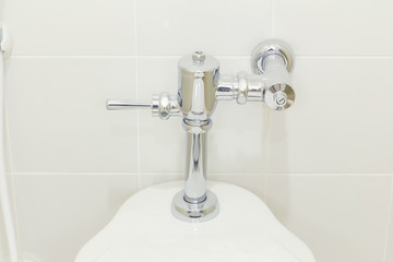 Flush valve on water closet in toilet.