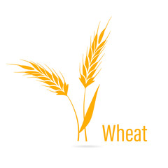 Gluten free icon. Ears of Wheat.