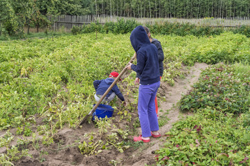 Children work on a farm.