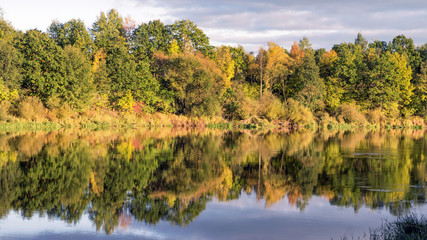 Golden Autumn at the river. Reflections.