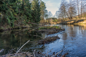 Spring river flowing in a valley.