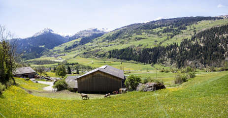 Zillis paesaggio Szizzero 