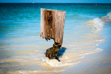 Wood at the beach