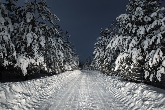 Fototapeta night road through winter forest
