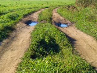 Obraz premium field road as a human face