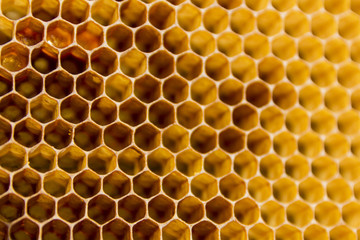 Honeycombs texture