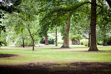 Fototapeta na wymiar View from Kew Gardens, Royal Botanical Gardens in London