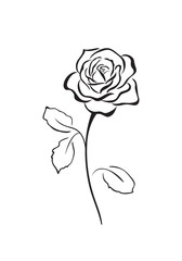 Rose flower vector icon - 135681878