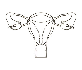 female reproductive system research paper Below is an essay on female reproductive system from anti essays, your source for research papers, essays, and term paper examples. female reproductive system research paper Below is an essay on female reproductive system from anti essays, your source for research papers, essays, and term paper examples.