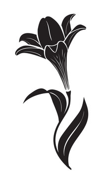 Lily Flower Vector Icon