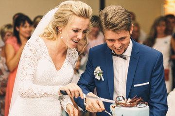 Wedding couple looks funny trying to cut pretty wedding cake
