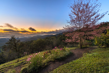 Sunrise at Doi Mae Ta Man