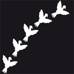 Doves on black background