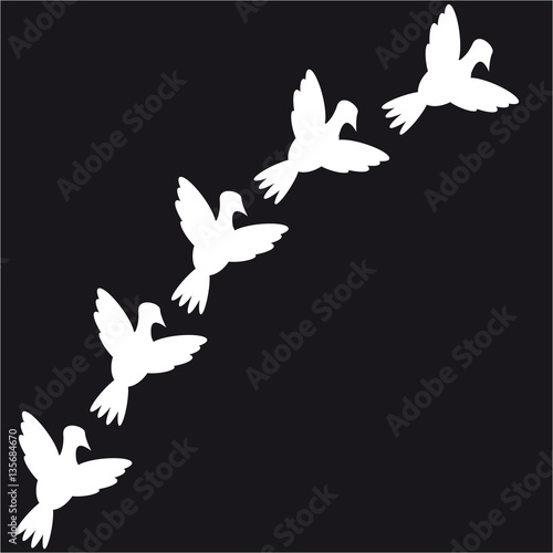 "Doves on black background" Stock image and royaltyfree vector files