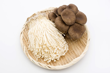 エノキとひらたけ