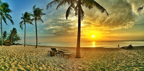 tropical beach sunset panorama