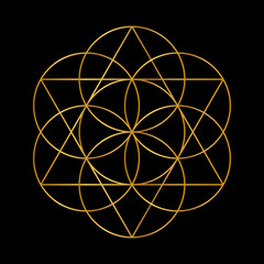Flower of Life. Golden Vector Sacred Geometry isolated on black.