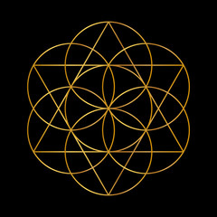 Flower of Life. Golden Vector Sacred Geometry isolated on black.