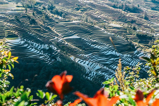 Honghe Hani Rice Terraces in Yunnan province, China. Recognized as World Heritage by UNESCO, Yuanyang (Yuan Yang) Cultural Landscape of Duoyishu. Laohuzui (the Tiger Mouth) scenic area.