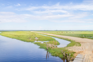 Dirty road to Lagoa do Peixe lake