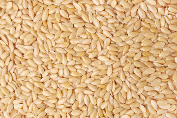 Sesame seeds, for backgrounds or textures