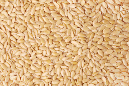 Sesame seeds, for backgrounds or textures