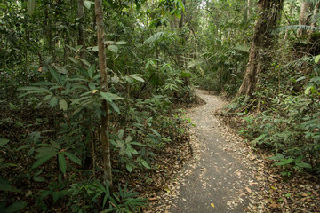 Trekking path in autumn