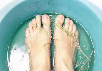 Foot bath in bowl with fir-needles and dried chamomile flowers