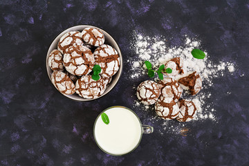 Obraz na płótnie Canvas Chocolate cookies and a glass of milk on dark background. Top view