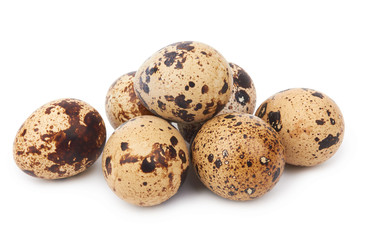 quail eggs isolated